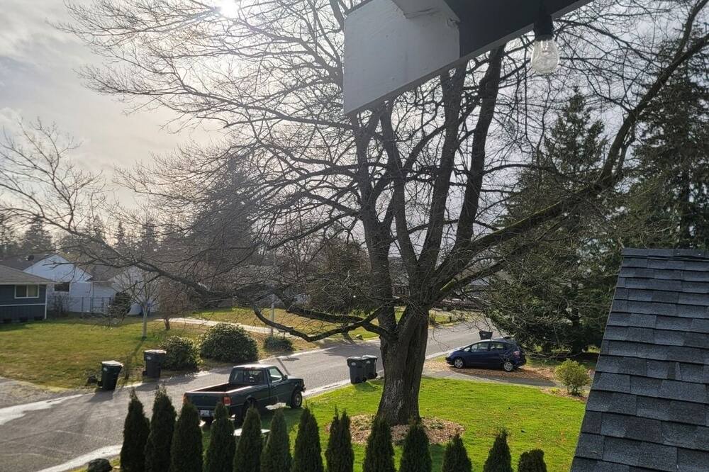 Photo of Outdoor in Fort Lewis