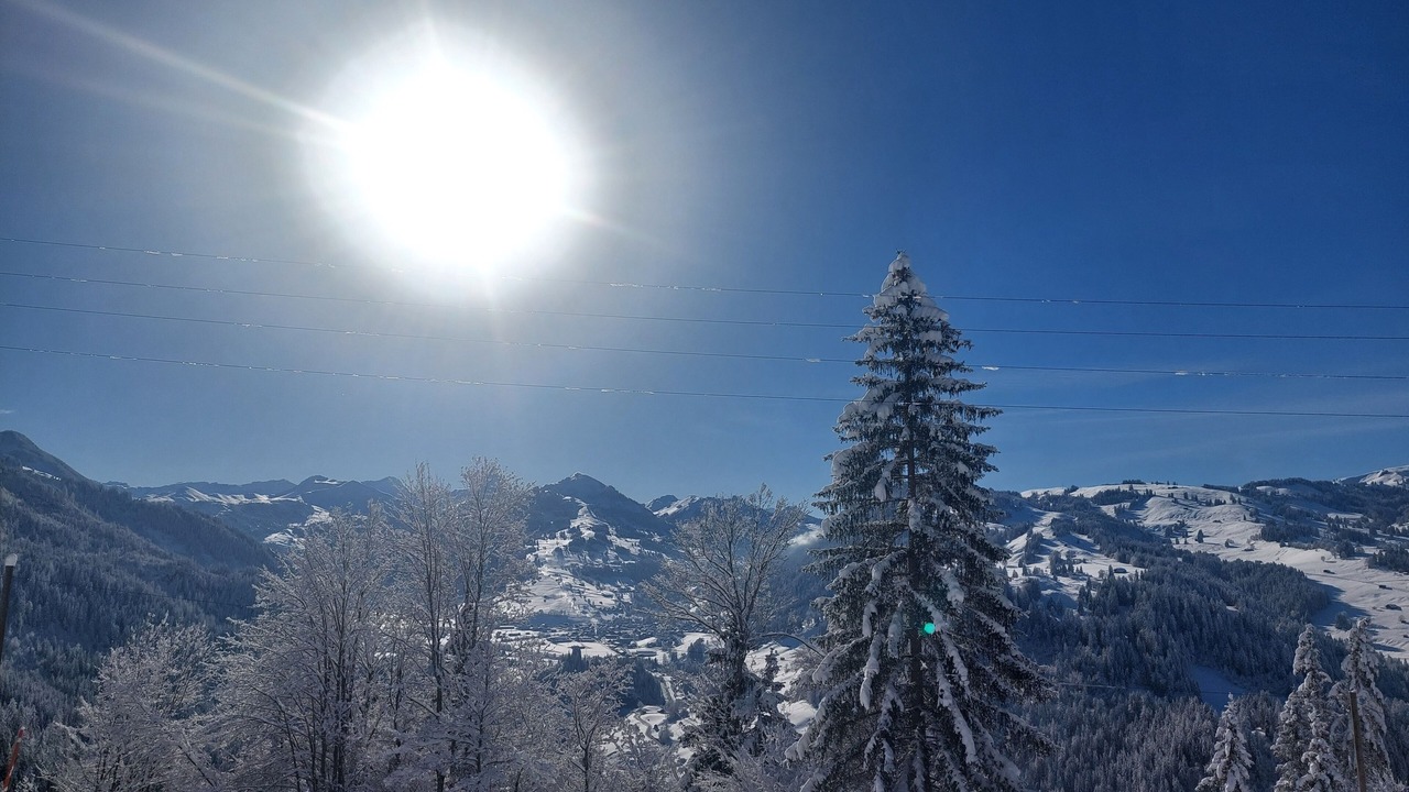 Photo of Others in Zweisimmen