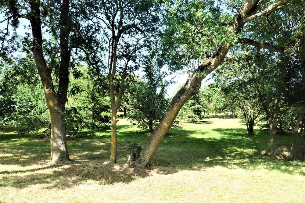 Photo of Outdoor in Alzonne