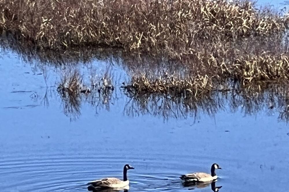 Photo of Outdoor in East Central Washington