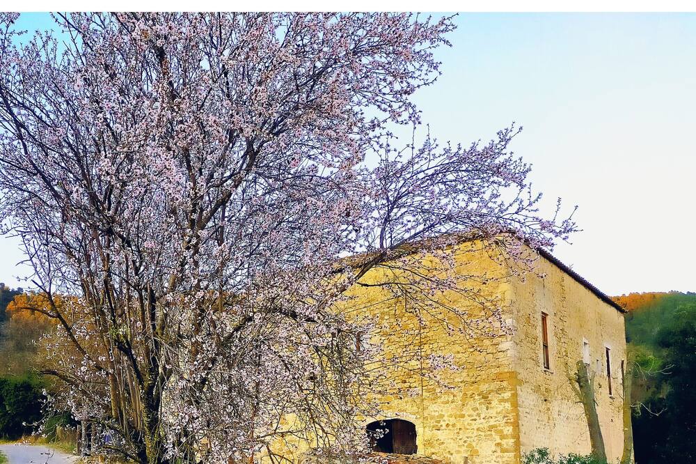 Photo of Outdoor in Seguero