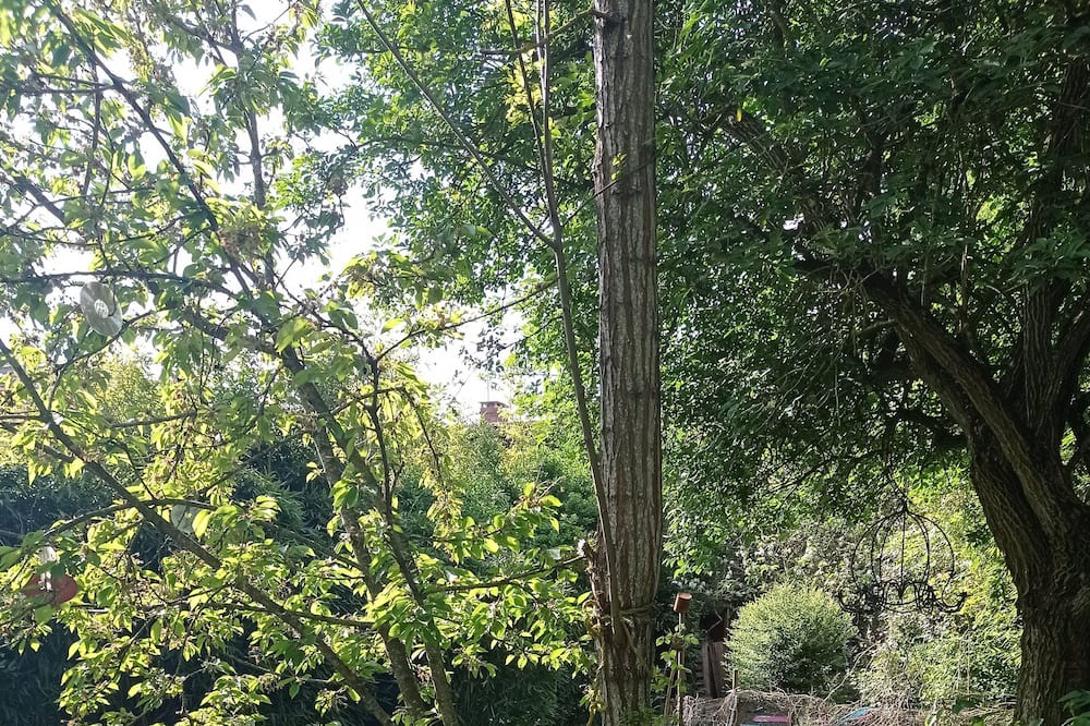 Photo of Outdoor in Levignac