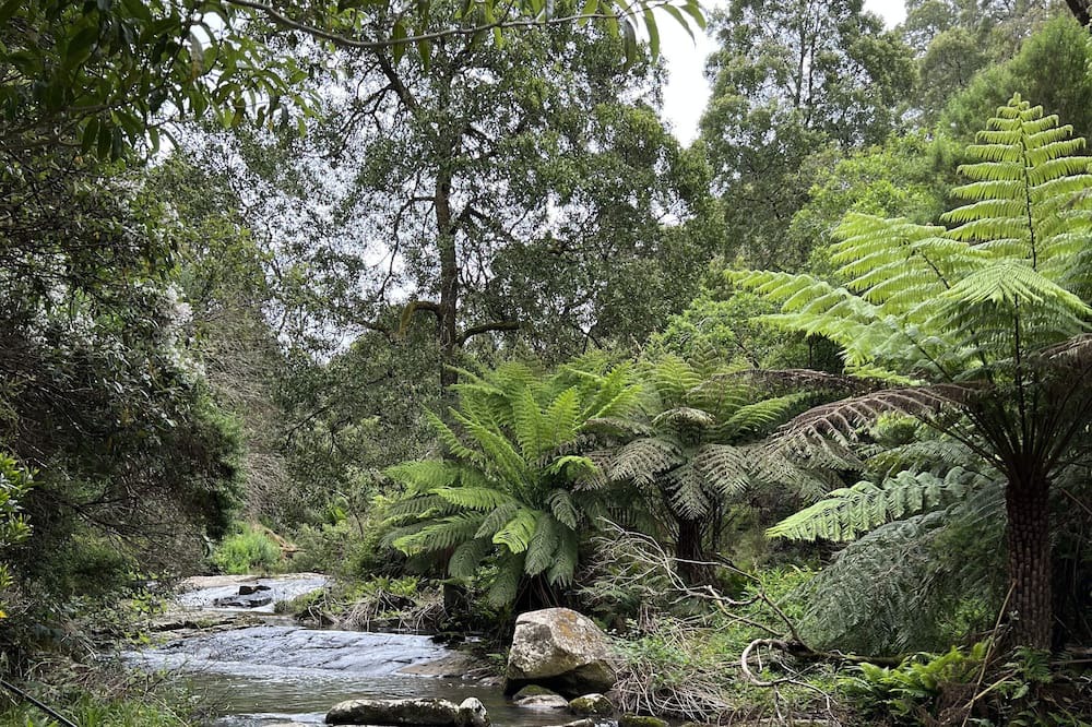 Photo of Outdoor in Madalya