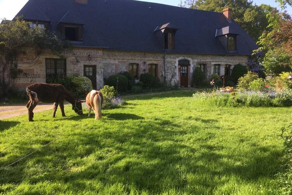 Photo of Outdoor in Maneglise