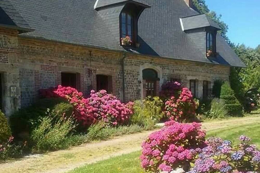 Photo of Outdoor in Maneglise