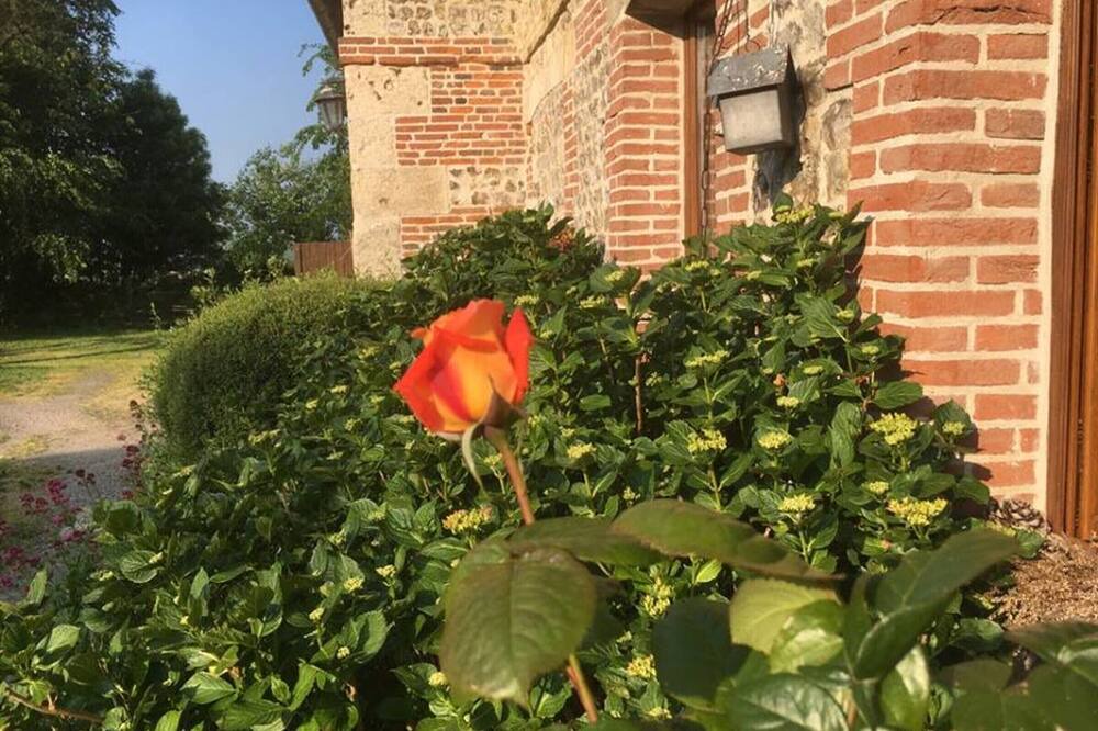 Photo of Outdoor in Maneglise