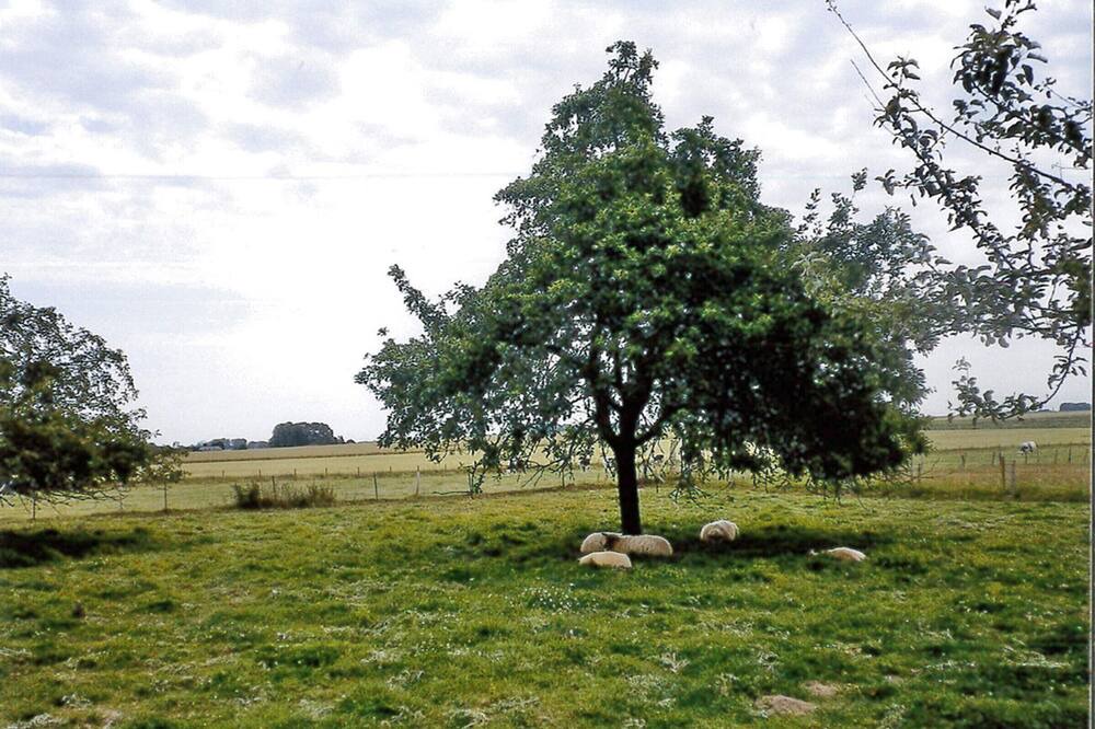 Photo of Others in Lintot