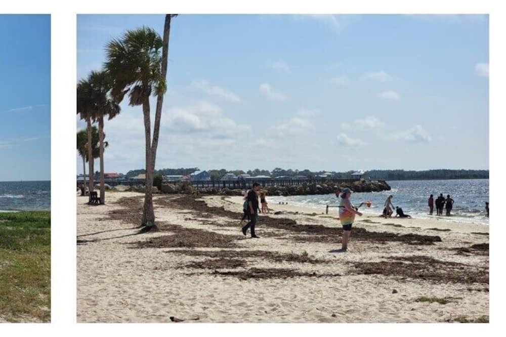 Photo of Others in Salem