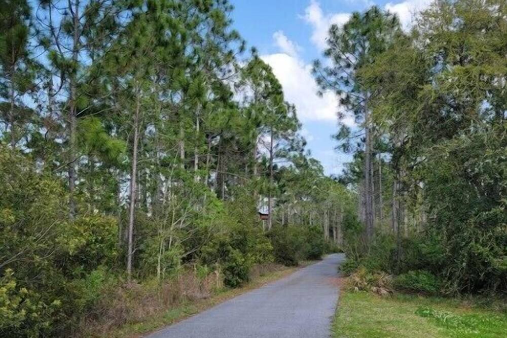 Photo of Others in Salem