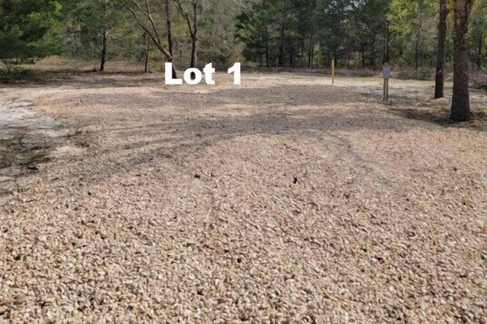 Photo of Others in Salem