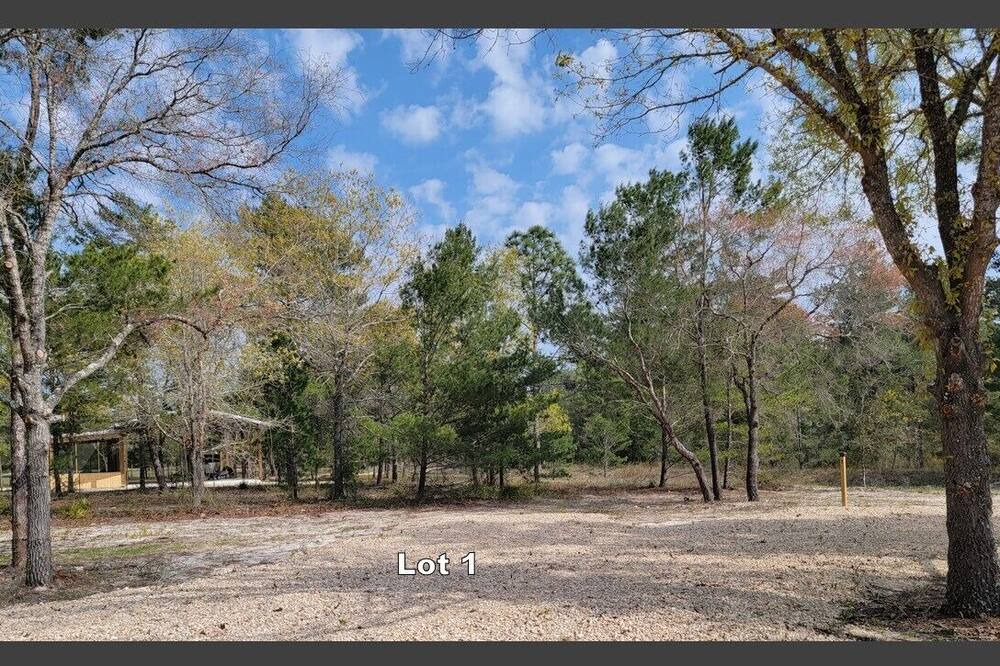 Photo of Others in Salem