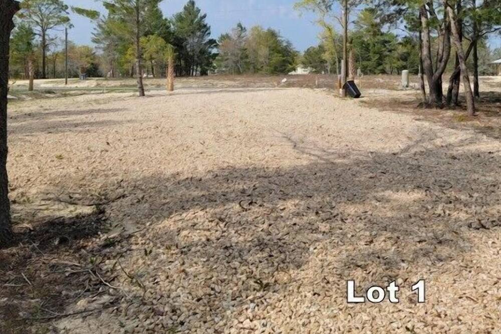 Photo of Others in Salem