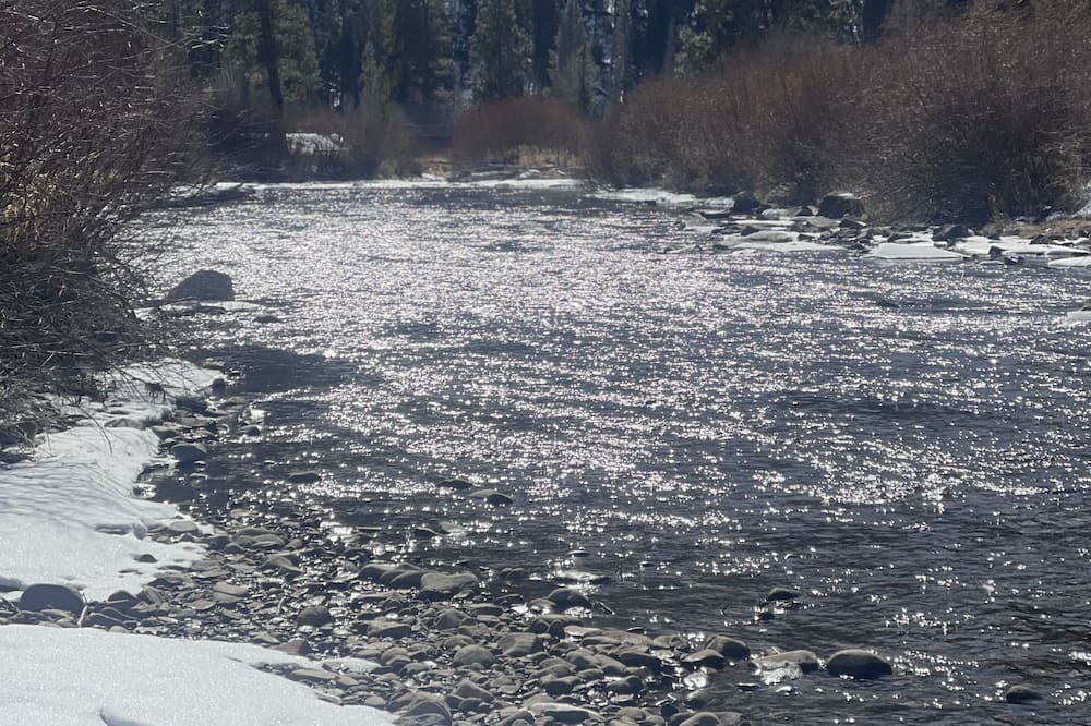 Photo of Outdoor in Conner