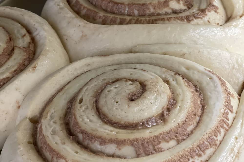 Photo of Others in Conner