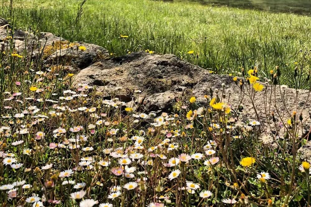 Photo of Outdoor in Thonac