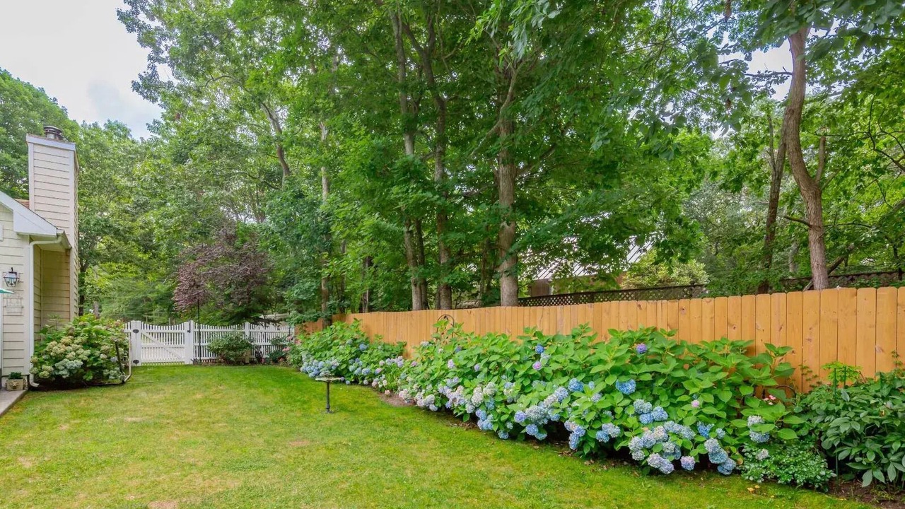 Photo of Outdoor in Lion Head Beach