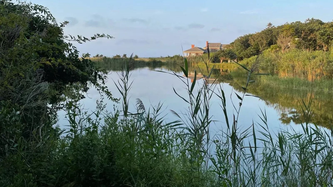 Photo of Outdoor in Lion Head Beach