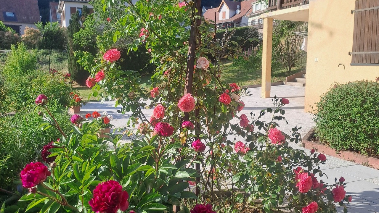 Photo of Outdoor in Goetzenbruck