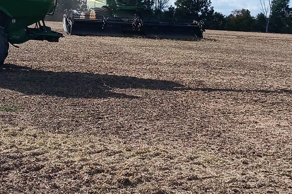 Photo of Outdoor in Monroe City