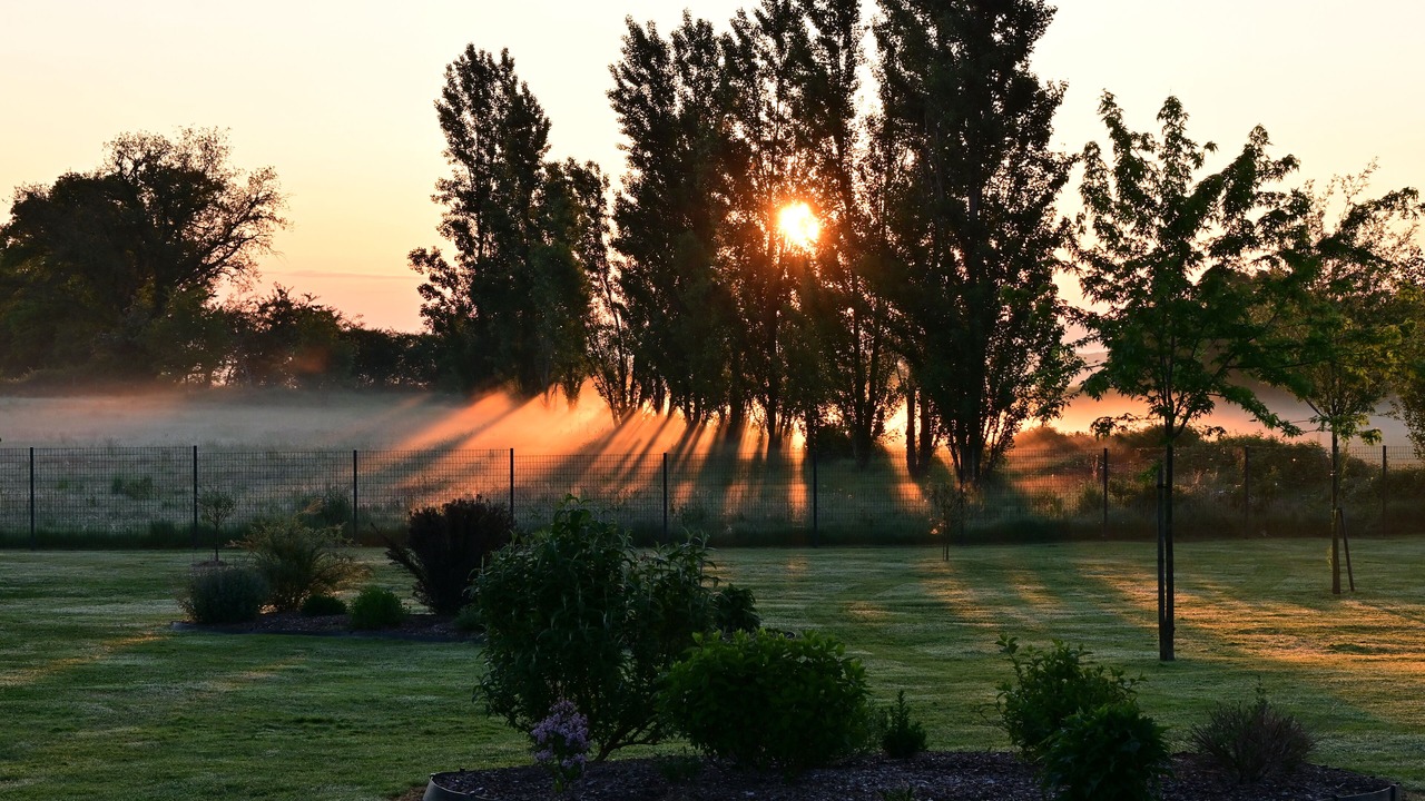 Photo of Outdoor in Bizeneuille