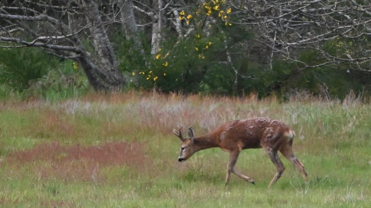 Photo of Outdoor in Bizeneuille