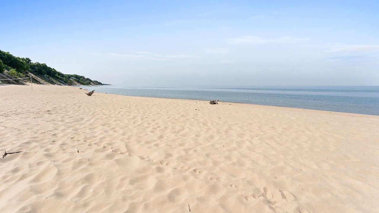 Photo of Others in Port Sheldon