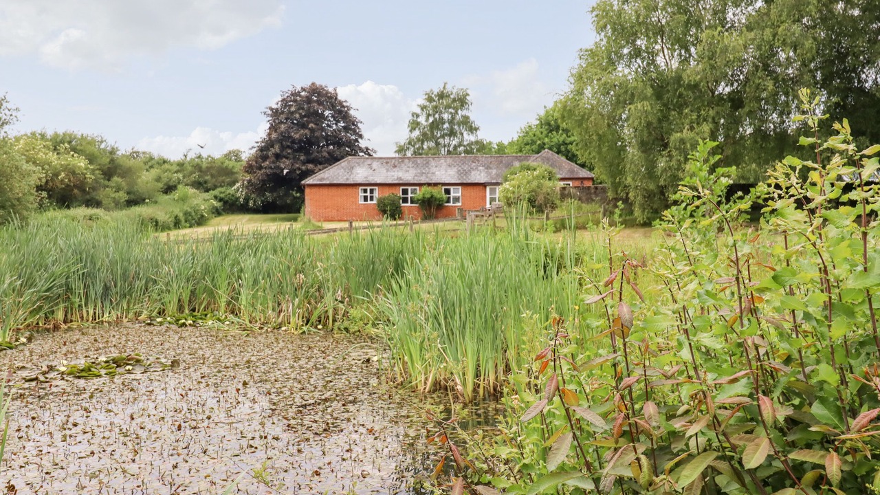 Photo of Others in Colchester