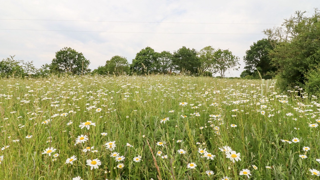 Photo of Others in Colchester