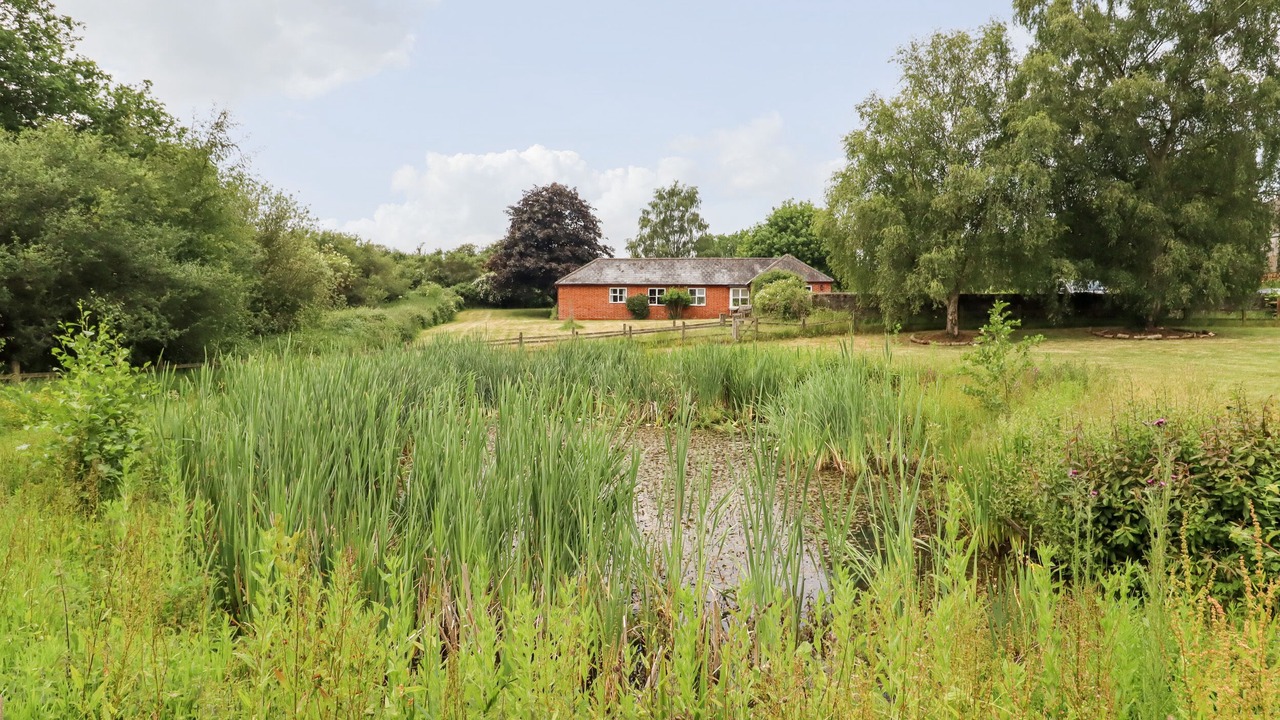 Photo of Others in Colchester