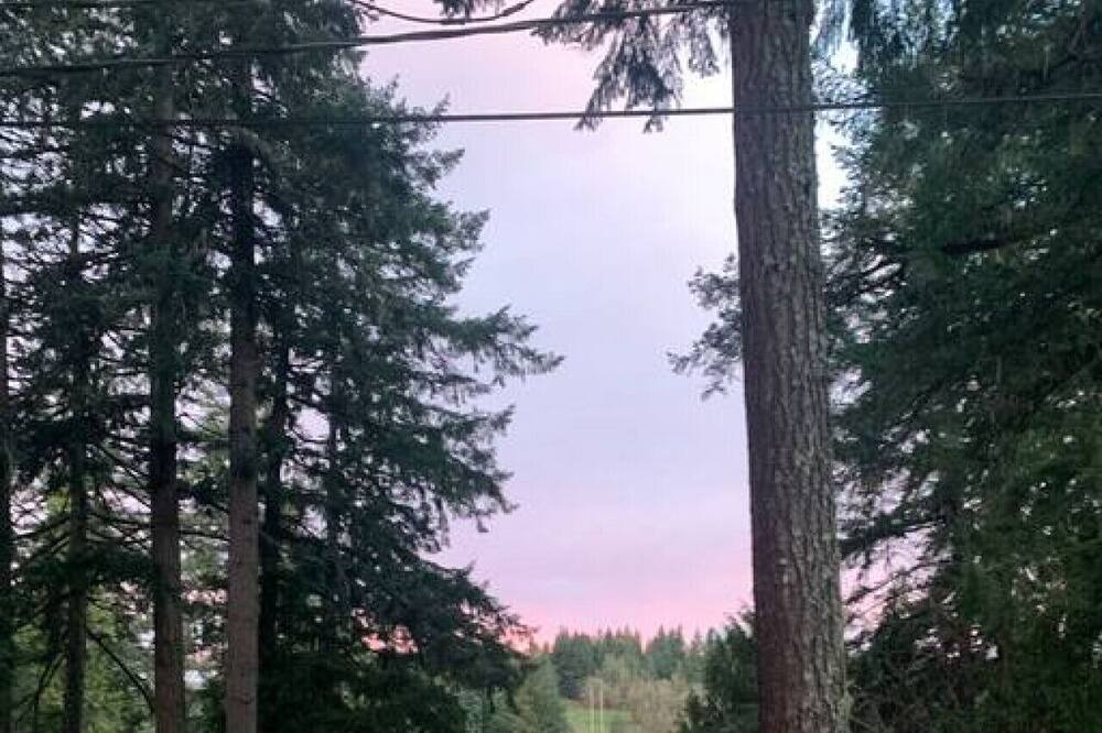 Photo of Others in Eugene