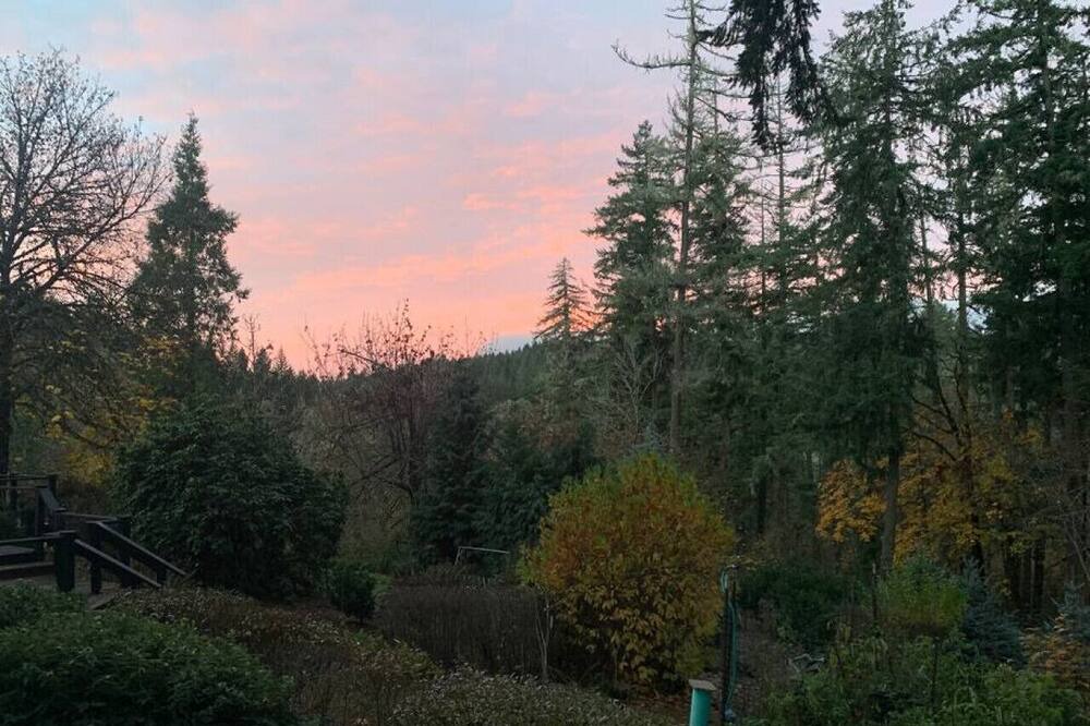 Photo of Others in Eugene