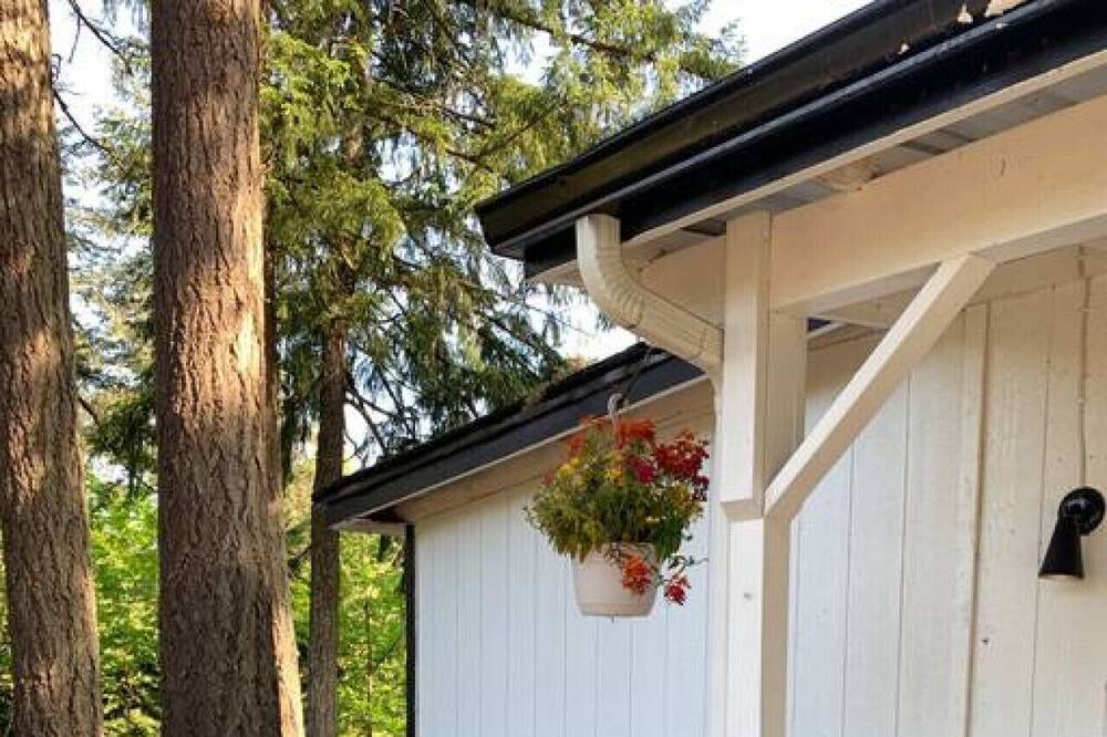 Photo of Others in Eugene