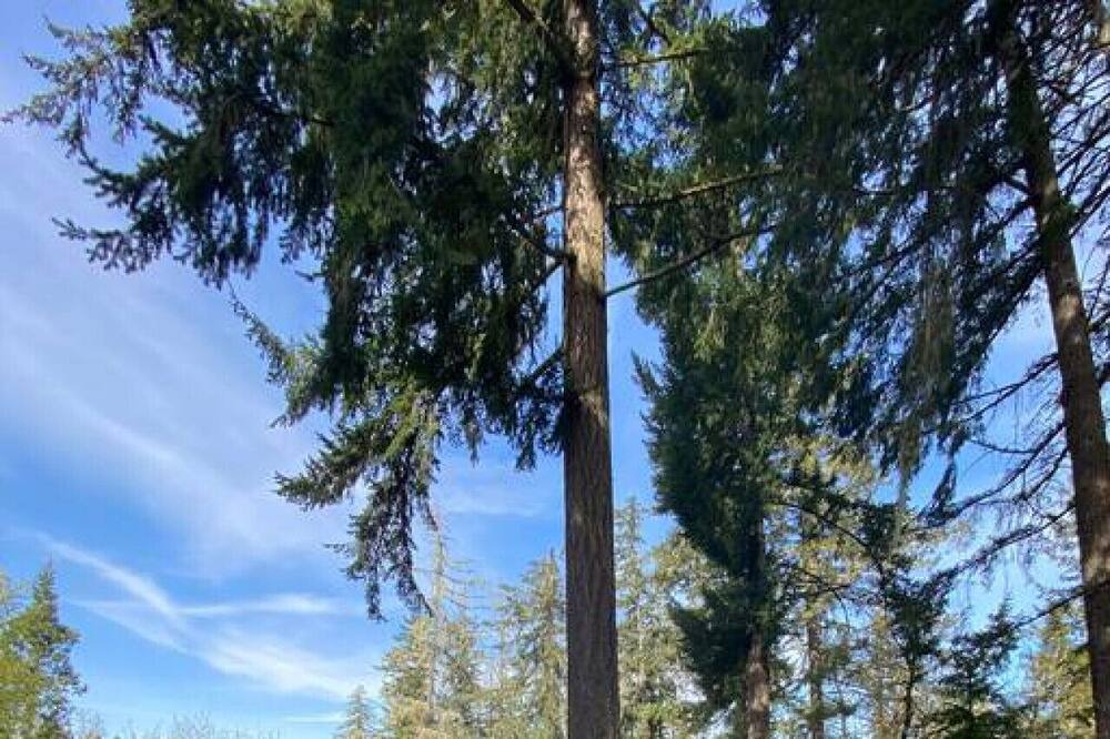 Photo of Others in Eugene