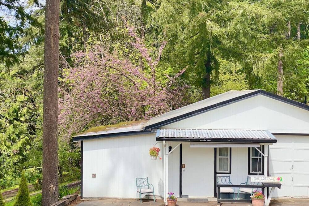 Photo of Others in Eugene