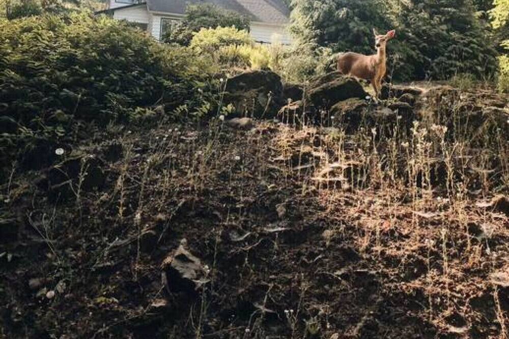 Photo of Others in Eugene