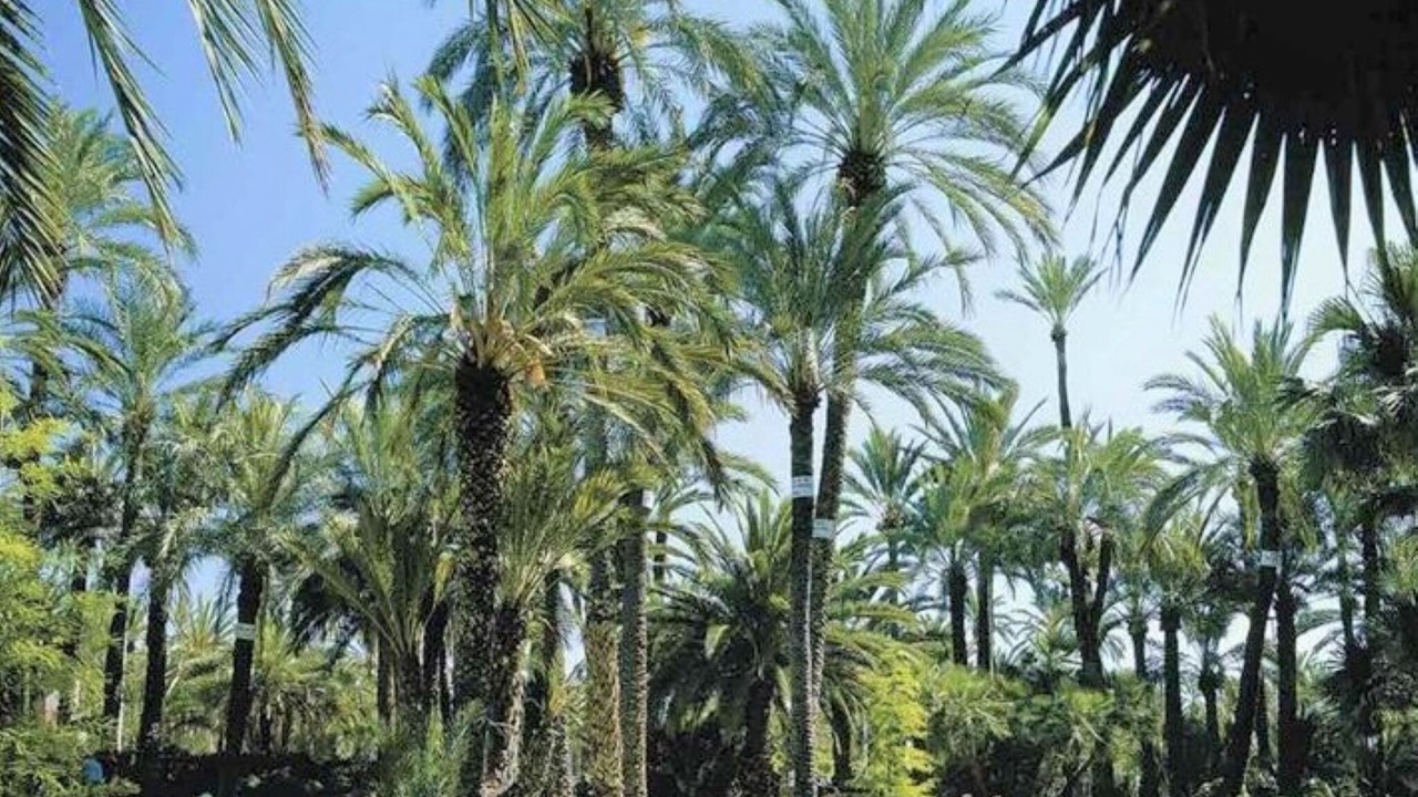 Photo of Outdoor in San Anton