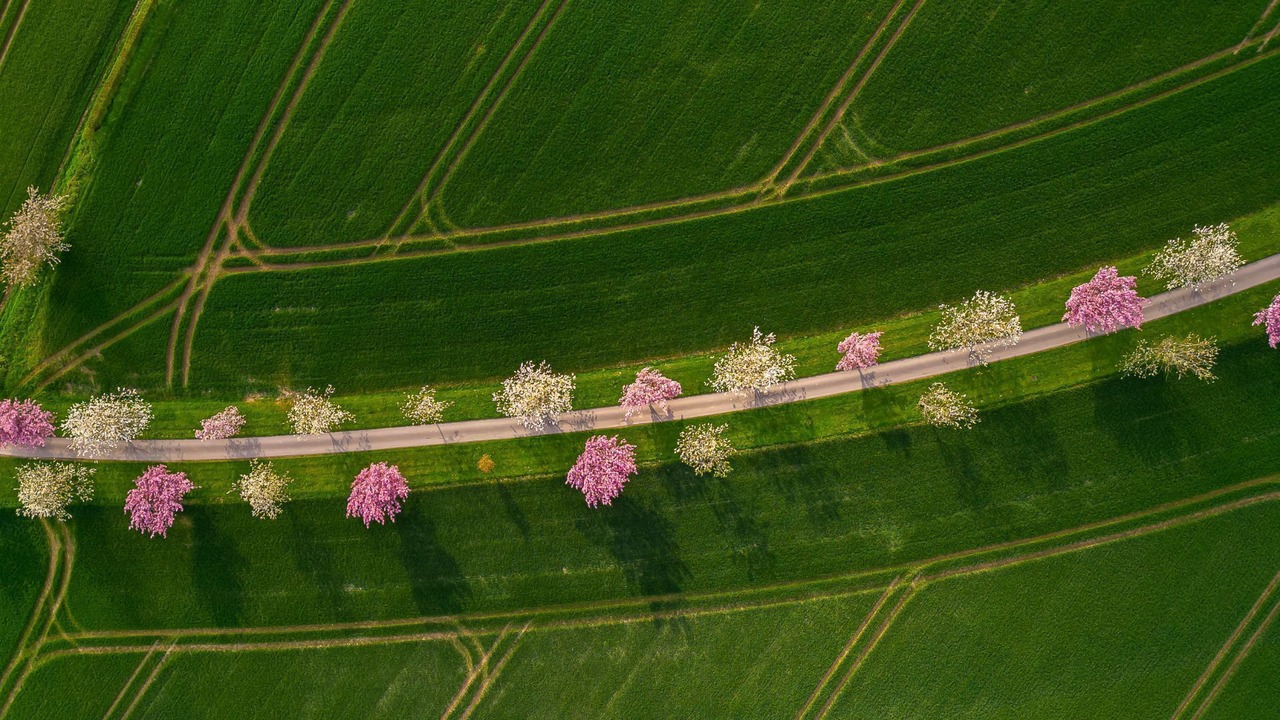 Photo of Outdoor in Kilnwick