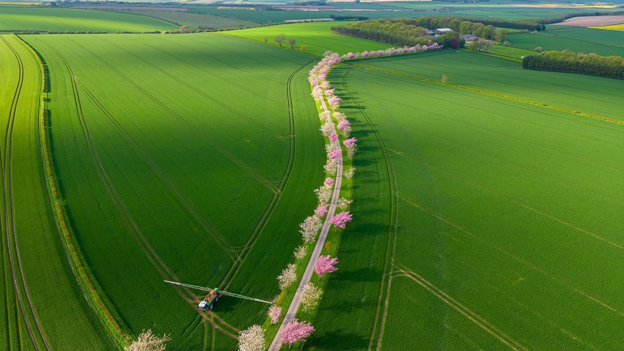 Photo of Outdoor in Kilnwick