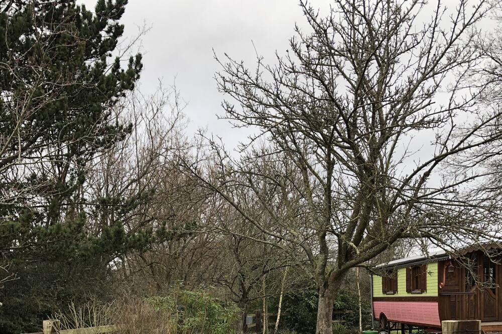 Photo of Outdoor in Ablon