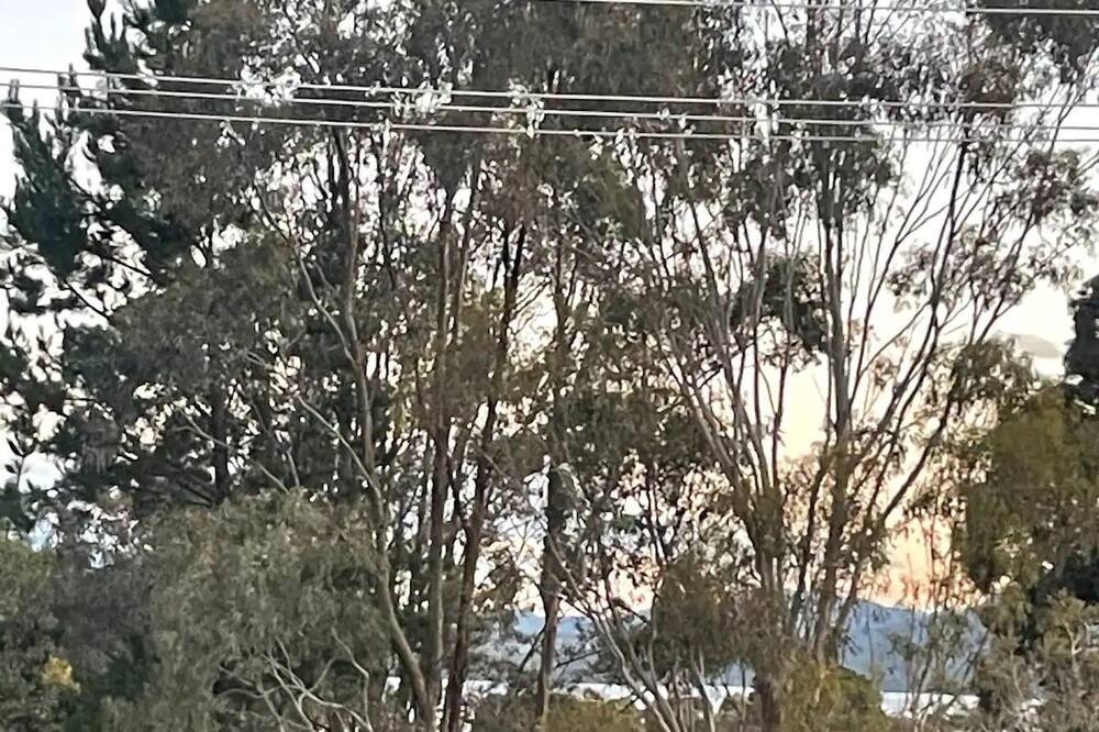 Photo of Others in Goughs Bay