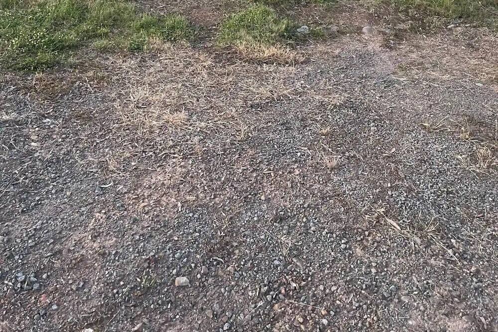 Photo of Outdoor in Goughs Bay