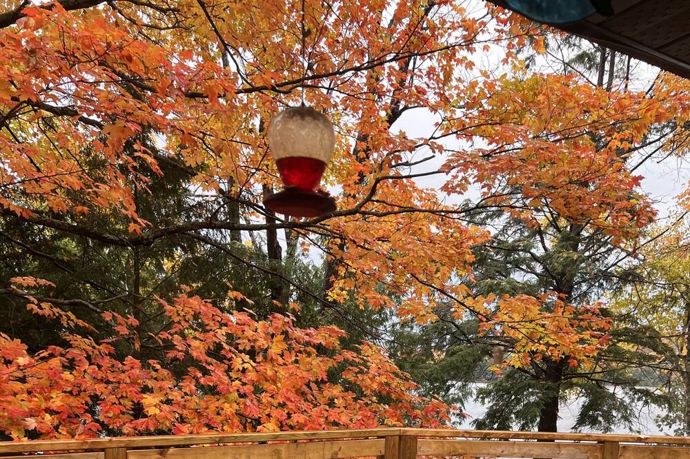 Photo of Outdoor in Utterson