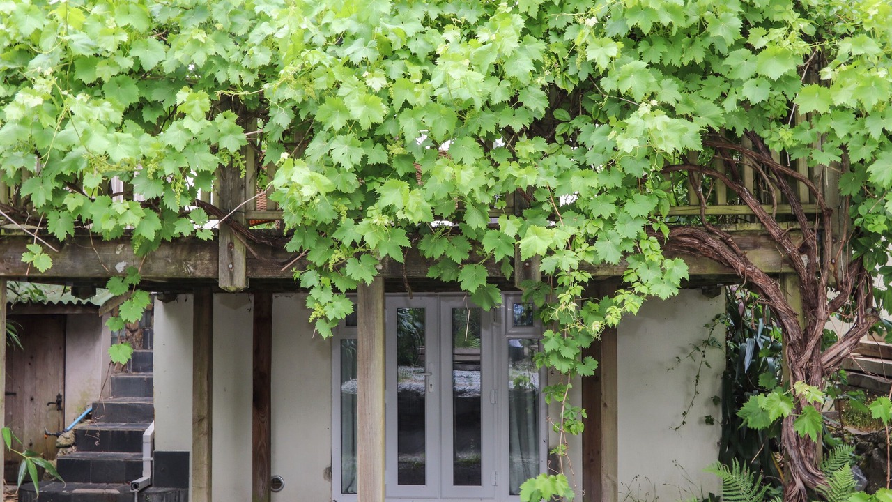 Photo of Others in Boscundle