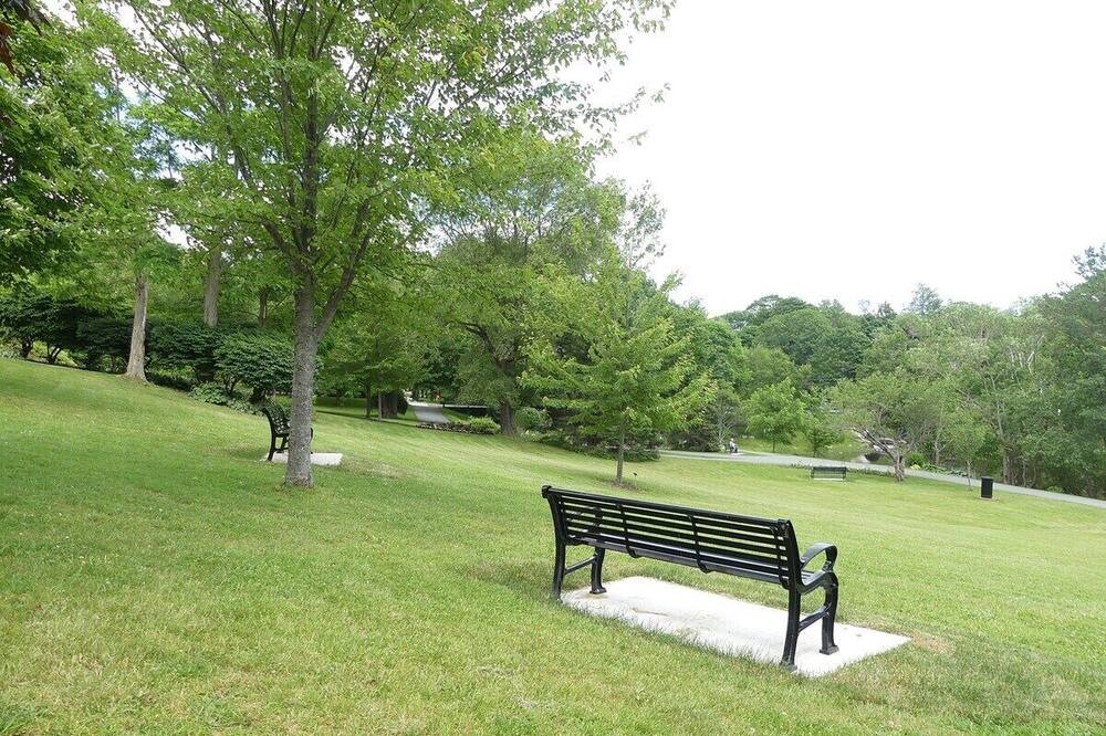 Photo of Outdoor in Dartmouth