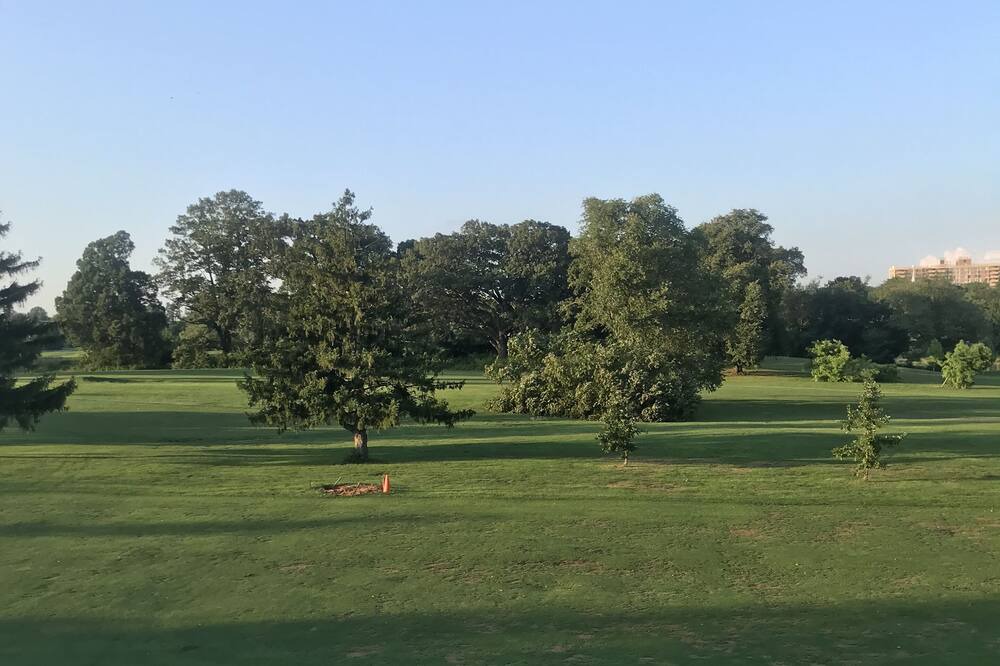 Photo of Others in Wilmington