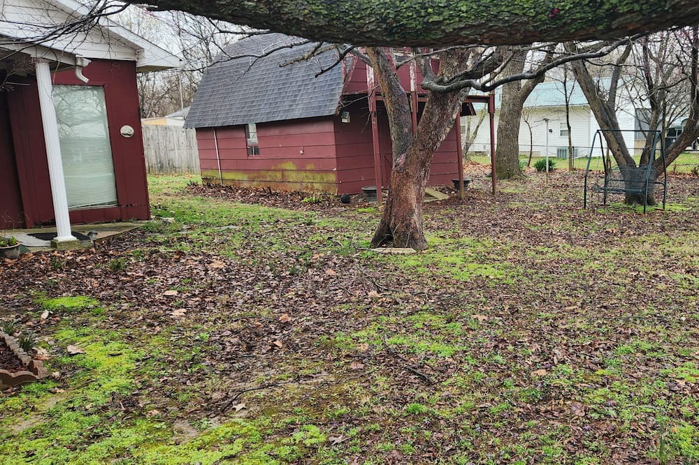 Photo of Outdoor in Dunklin County