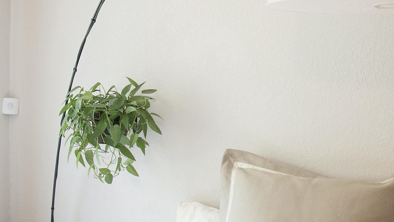 Photo of Others in Beach Hill - Beach Flats