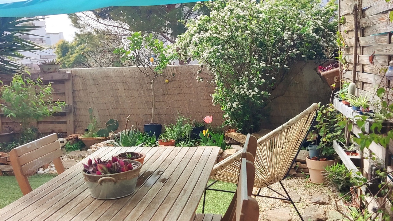 Photo of Outdoor in Lemasson