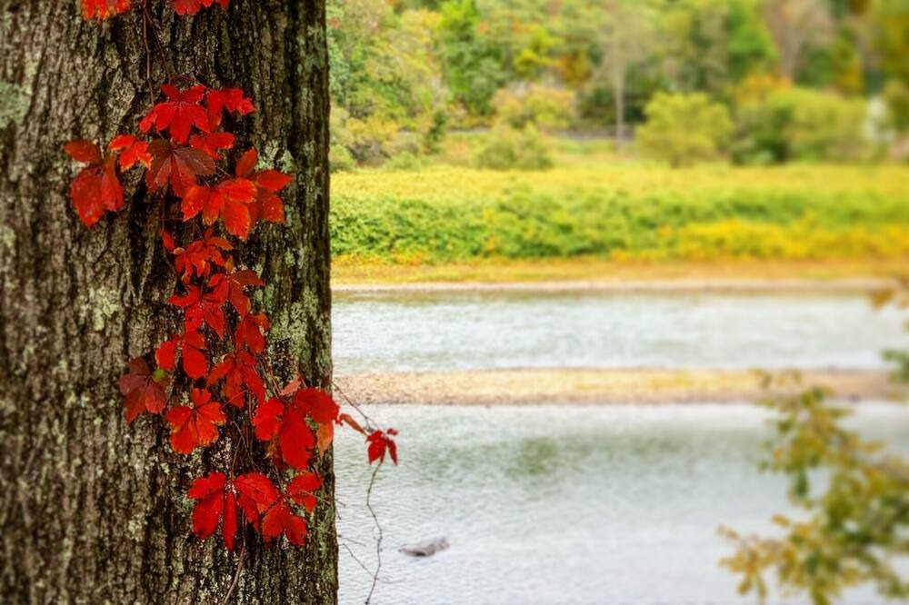 Photo of Outdoor in Fishs Eddy