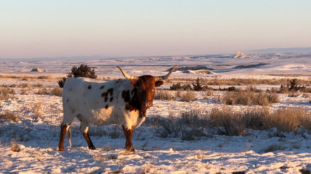 Photo of Others in Sioux County